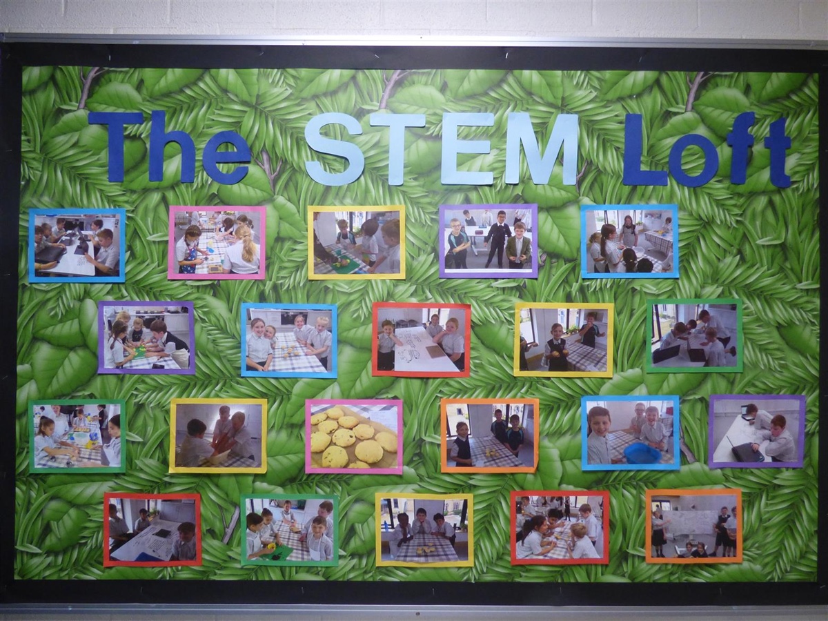 The Importance of STEM Subjects in Early Education